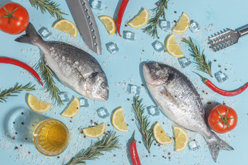 Raw dorada fish with spices, salt, lemon and herbs, rosemary on a ligth-blue background. Top view.