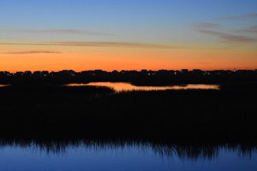 Marsh Life at Dawn