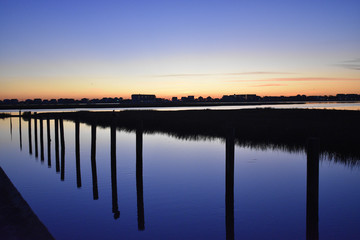 Marsh Life Dawn