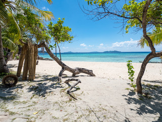 Amazing tropical beach with coconut palm trees, idyllic clean ocean white sand and clear blue sky at sunny summer day on luxury remote resort. Banana island, Philippines, 2018