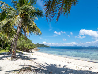 Amazing tropical beach with coconut palm trees, idyllic clean ocean white sand and clear blue sky at sunny summer day on luxury remote resort. Banana island, Philippines, 2018