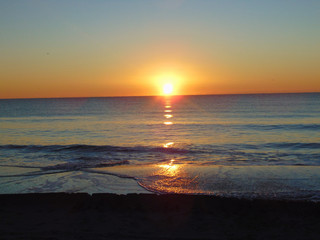Beach Life Images