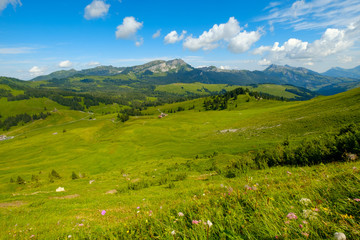 Fototapeta premium Summer time mountain nature panoramic landscape near Habkern, Switzerland