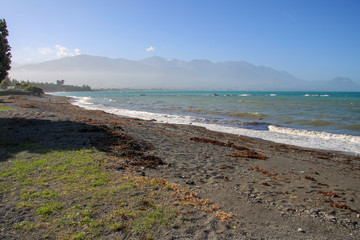 Coastal view along New Zealand's South Island