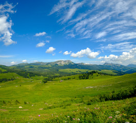 Fototapeta na wymiar Summer time mountain nature panoramic landscape near Habkern, Switzerland