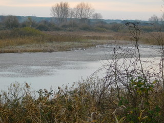 fiume e valle in inverno