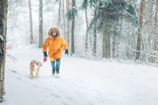 Boy in bright yellow parka walks with his beagle dog in snowy pine forest. Walking with pets and winter outfit concept image.