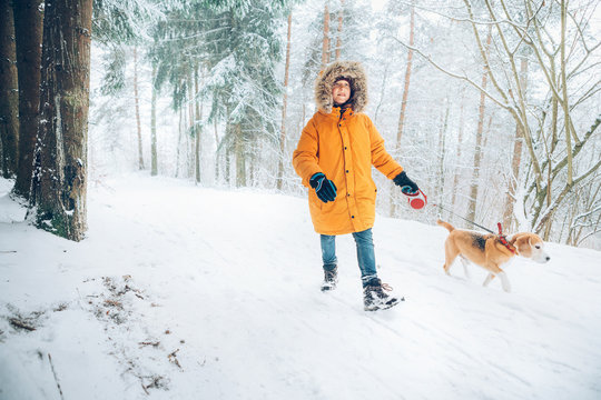 Boy in bright yellow parka walks with his beagle dog in snowy pine forest. Walking with pets and winter outfit concept image.