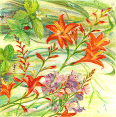 Watercolor painting of garden orange flowers
