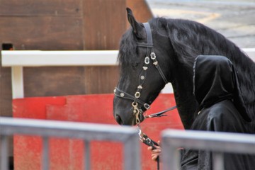 palio di asti