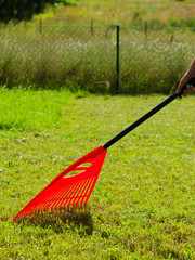 Person raking leaves