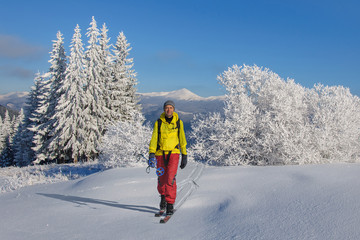 tourist in outdoors clothes is riding on wooden skis in beautiful snowy Carpathian mountains. Ukraine