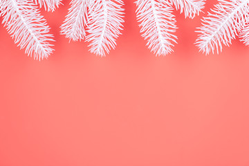 White branch of a New Year's fir on Bright coral background. Copy space.Top view