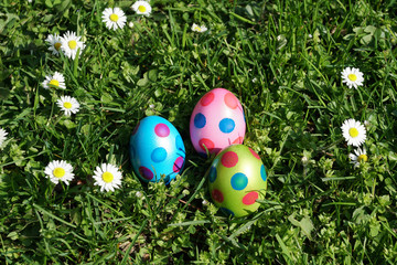 three dotted easter eggs lying in a grass meadow with daisy flowers