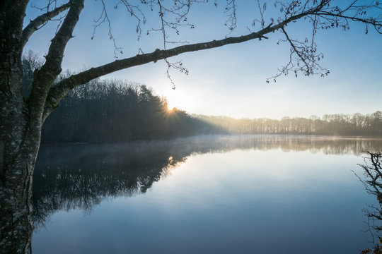 Etang de pescheux