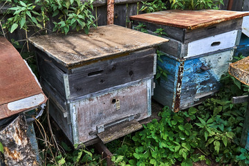 Old empty beehives in the garden near the fence