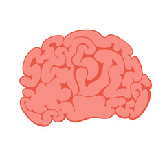 Cartoon pink illustration of the human brain