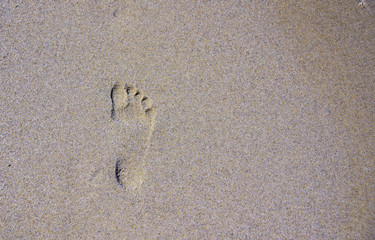 Footprint in the sand near the sea