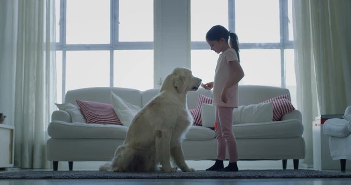 Slow motion of little girl playing and cuddling her dog in living room. 