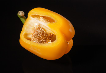 piece of pepper