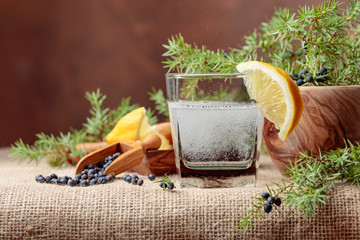 Cocktail gin, tonic with lemon and a branch of juniper with berries.