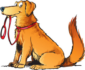 The dog waits for a walk