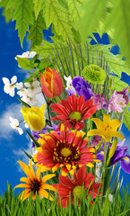 Fototapeta na wymiar image of a beautiful bouquet of flowers