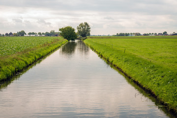 Fototapeta na wymiar Wide ditch in a Dutch polder