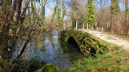 Medieval bridge in Tui (Way of Santiago), Spain