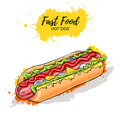 Hand drawn Hot Dog. Fast Food sketch
