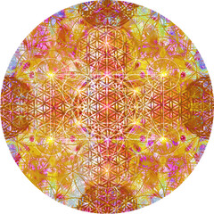 Abstract mandala with flower of life and metatron cube