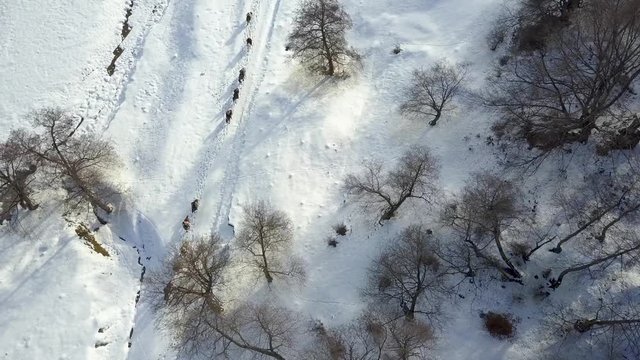 Aerial footage of a winter landscape at the countryside at the Christmas time.