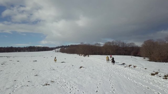 Aerial footage of a winter landscape at the countryside at the Christmas time.