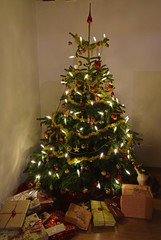 Christbaum mit Geschenken