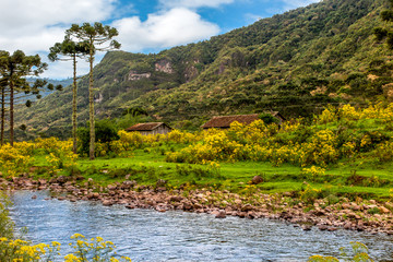 Canoas River, rocks, lawn, yellow flowers, barns and mountain with forest in background, cloudy sky, Urubici, Santa Catarina