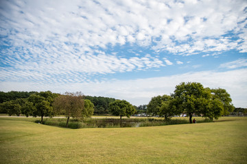 the appearance of nature on a large field.