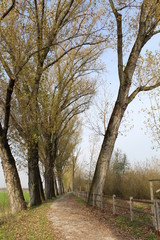 paesaggio invernale - pista ciclabile nel parco