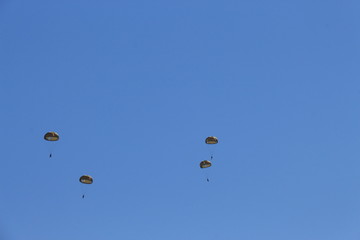 Fallschirmspringer