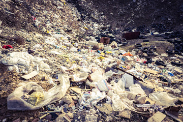 Garbage dump near the forest. Environmental pollution. Trash dump.