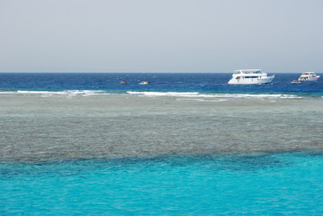 Tauch und Schnorcheltour im Roten Meer