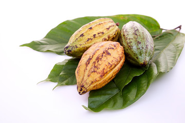 Cocoa pods with Cocoa leaf on a white