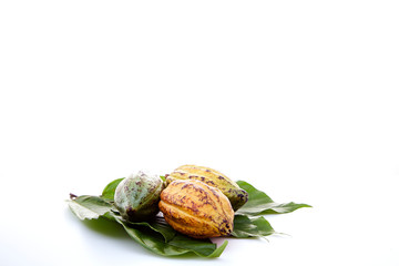 Cocoa pods with Cocoa leaf on a white