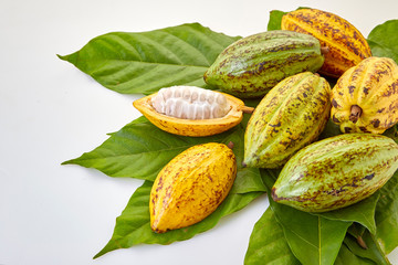 Cocoa pods with Cocoa leaf on a white