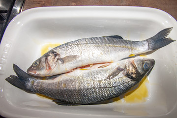 pair of fresh sea bass, in white saucepan, in olive oil, ready to be cooked, in Italian cuisine, top view