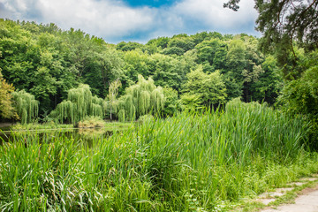 Beautiful scenery nature reserve in woodland on summer day.Calm and tranquil place.