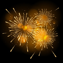 Obraz premium Vector holiday firework