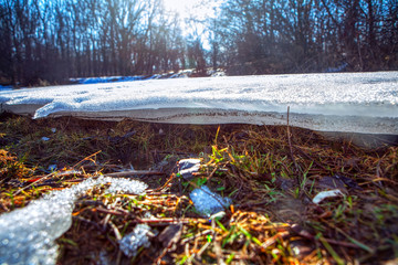 spring melting ice and nature details 