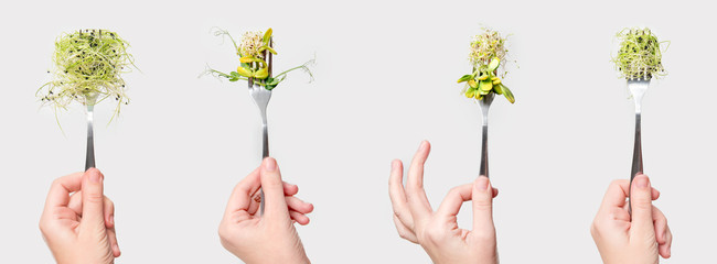 Woman hand holding micro greens on fork. Healthy eating, fresh garden produce organically grown. Symbol of health and vitamins from nature. Microgreens, vegan and vegetarian diet concept - obrazy, fototapety, plakaty