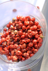 Faux poivrier /  Baie rose