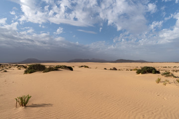 Corralejo Dunes Natural Park, Fuerteventura, Spain
